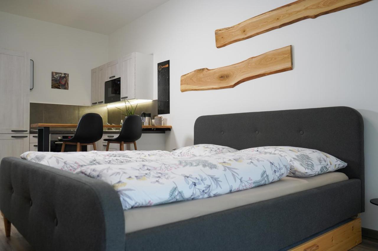 Hofmann Apartment Хеб Екстер'єр фото