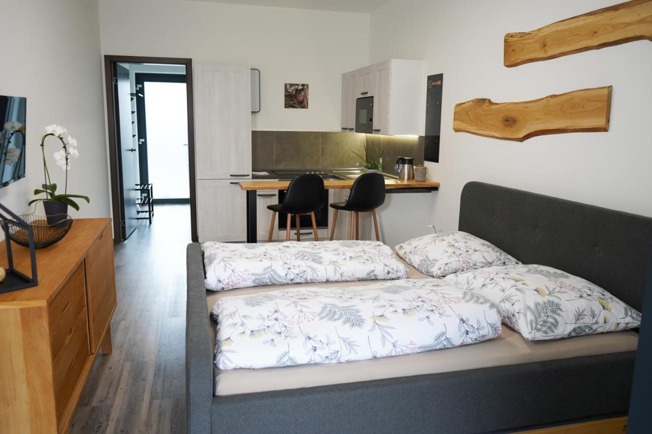 Hofmann Apartment Хеб Екстер'єр фото
