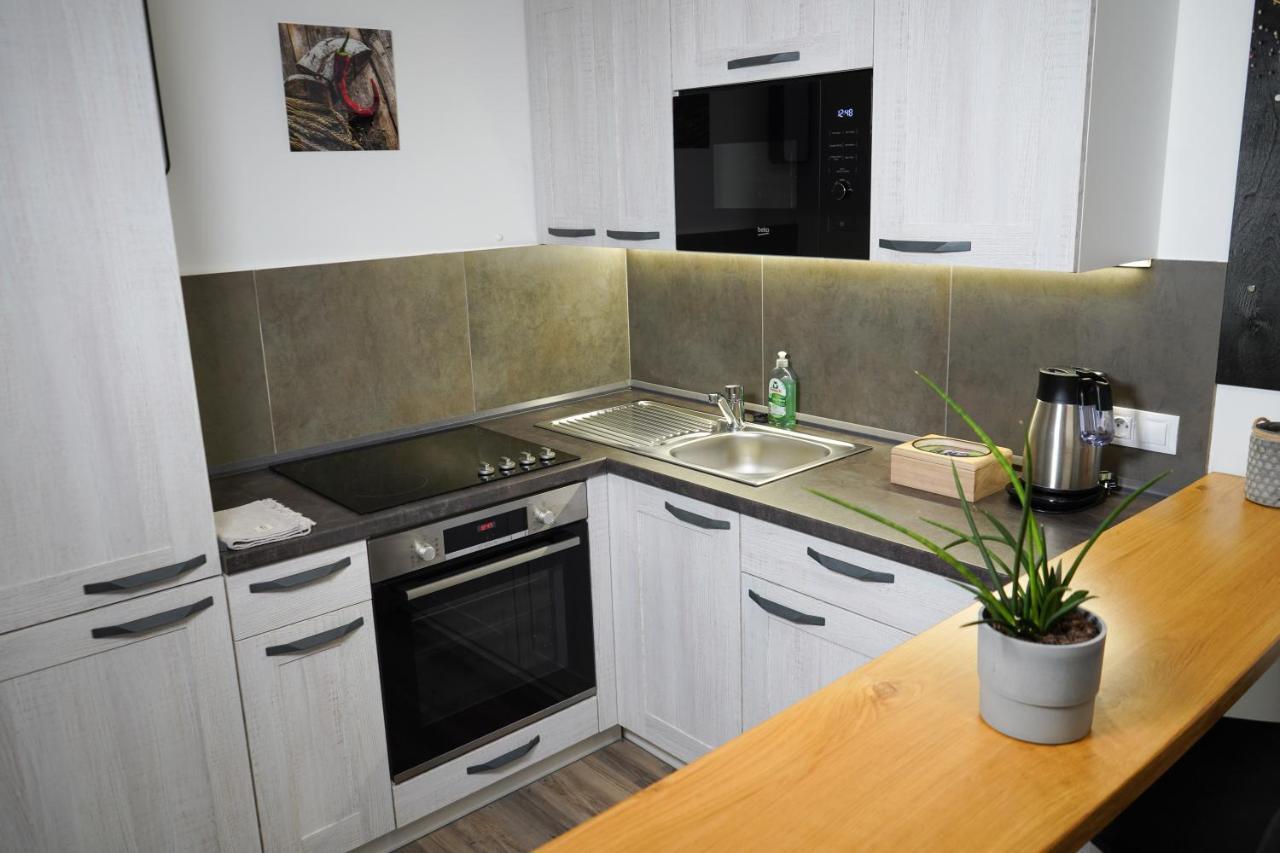 Hofmann Apartment Хеб Екстер'єр фото